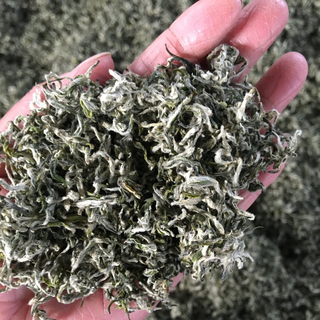 半坡芳茗新茶早春头采单芽半坡芳茗九号蒙顶甘露125克包米芽