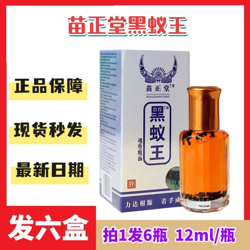 【主播专属 拍一发六】苗正堂黑蚁王