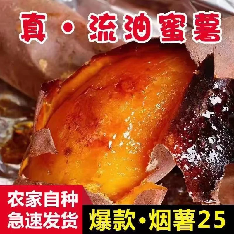 【彰武地瓜】烟薯25糖化好发货流糖蜜薯中果小果5斤带箱