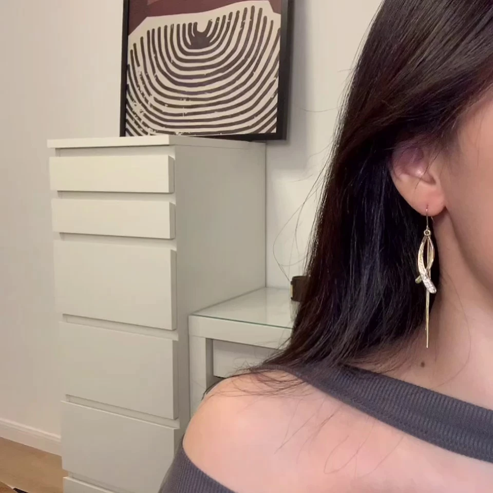 合金耳饰 108号 韩国气质长款耳坠圆脸显瘦超仙网红个性流苏网红