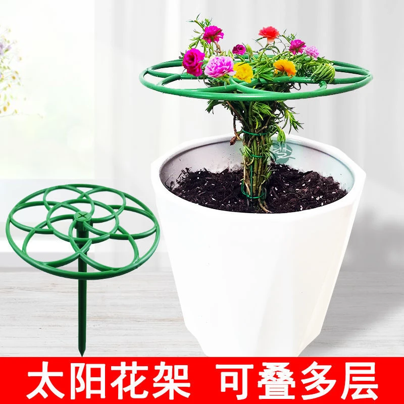 太阳花架子棒棒糖支架蟹爪兰嫁接固定叶仙绿萝单多层支撑爬藤造型