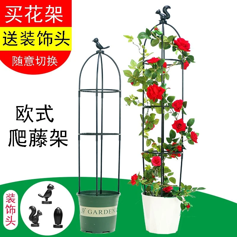 欧式园艺爬藤架月季花铁线莲花支架植物造型攀爬藤架阳台山支撑杆