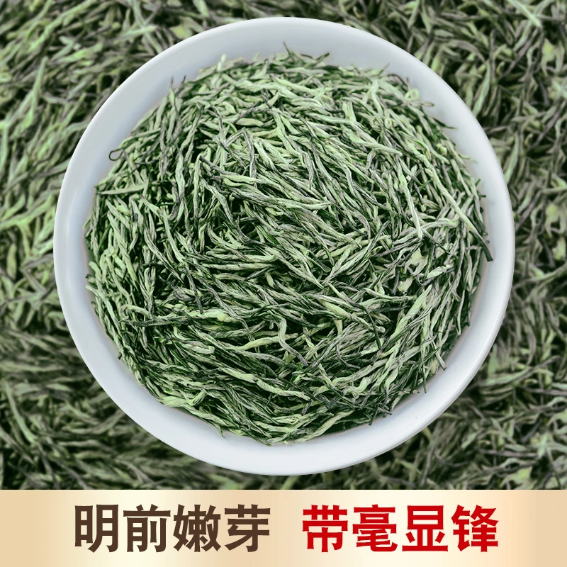 匹堂特级信阳毛尖2024新茶明前茶叶散罐装高山嫩芽全芽尖绿茶500g