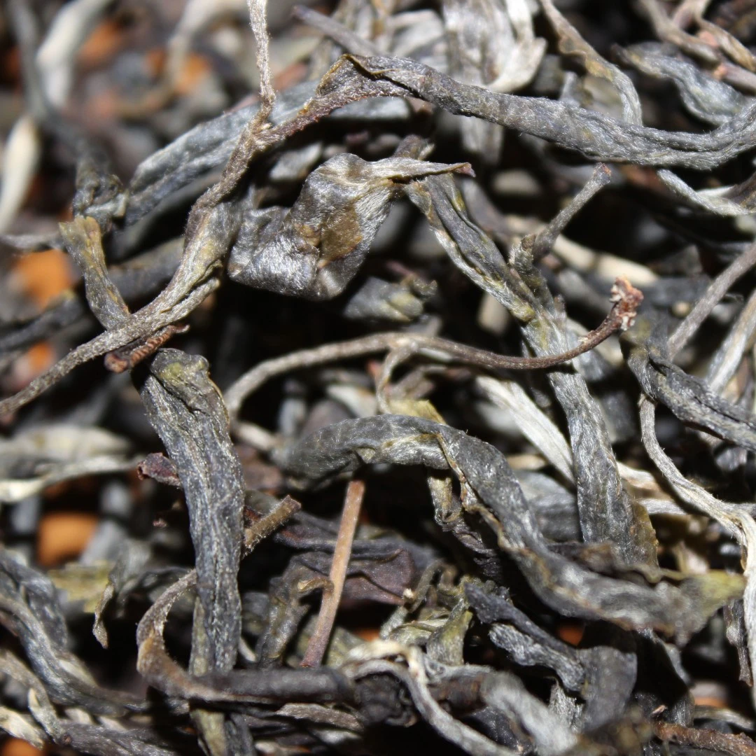 云南普洱茶2010年蚌龙普洱100g沱茶