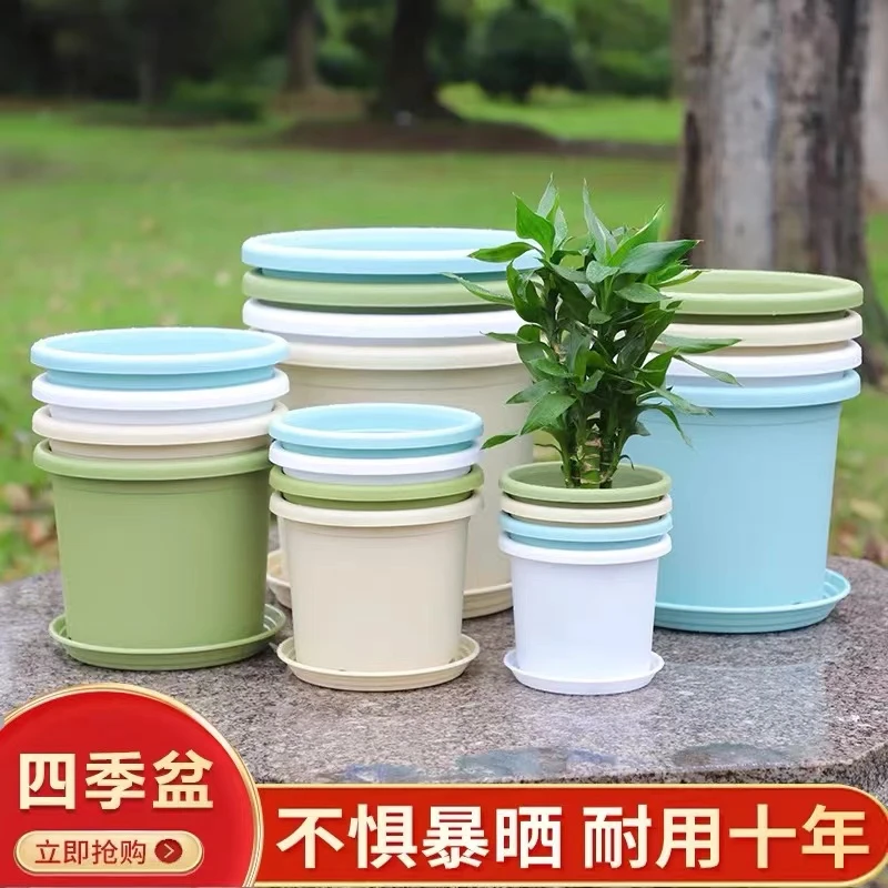 花盆新款四季盆圆形花盆加厚家用塑料植物盆阳台蔬菜种植盆绿植盆