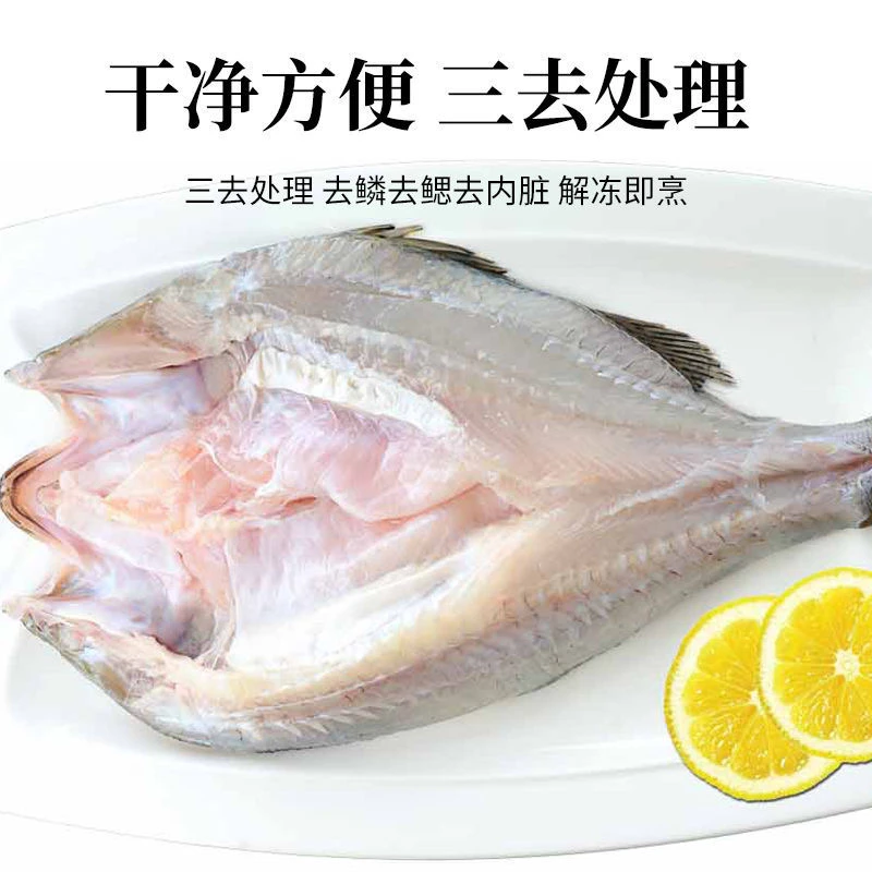 600g/条  发5条 新鲜开背海鲈鱼  深海鱼去鳞三去海鲈鱼只发新疆