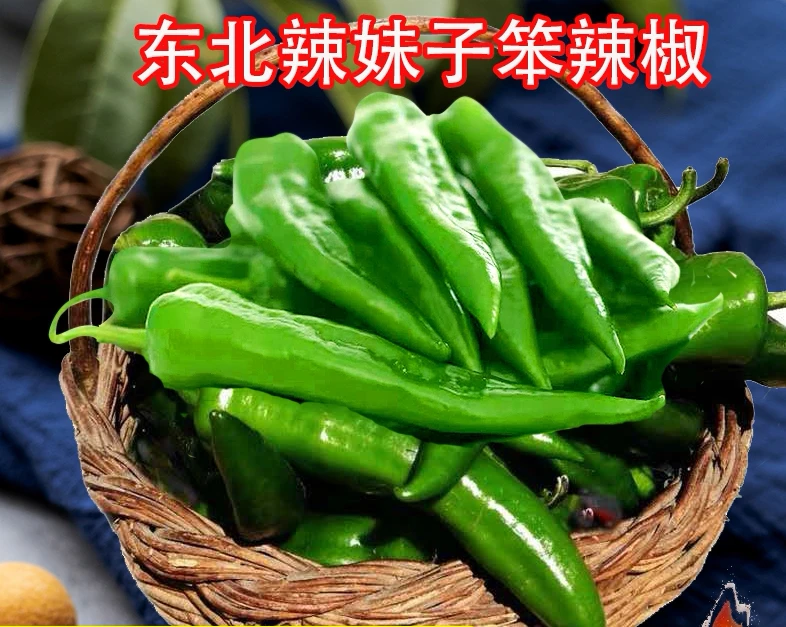 东北辣妹子辣椒3斤