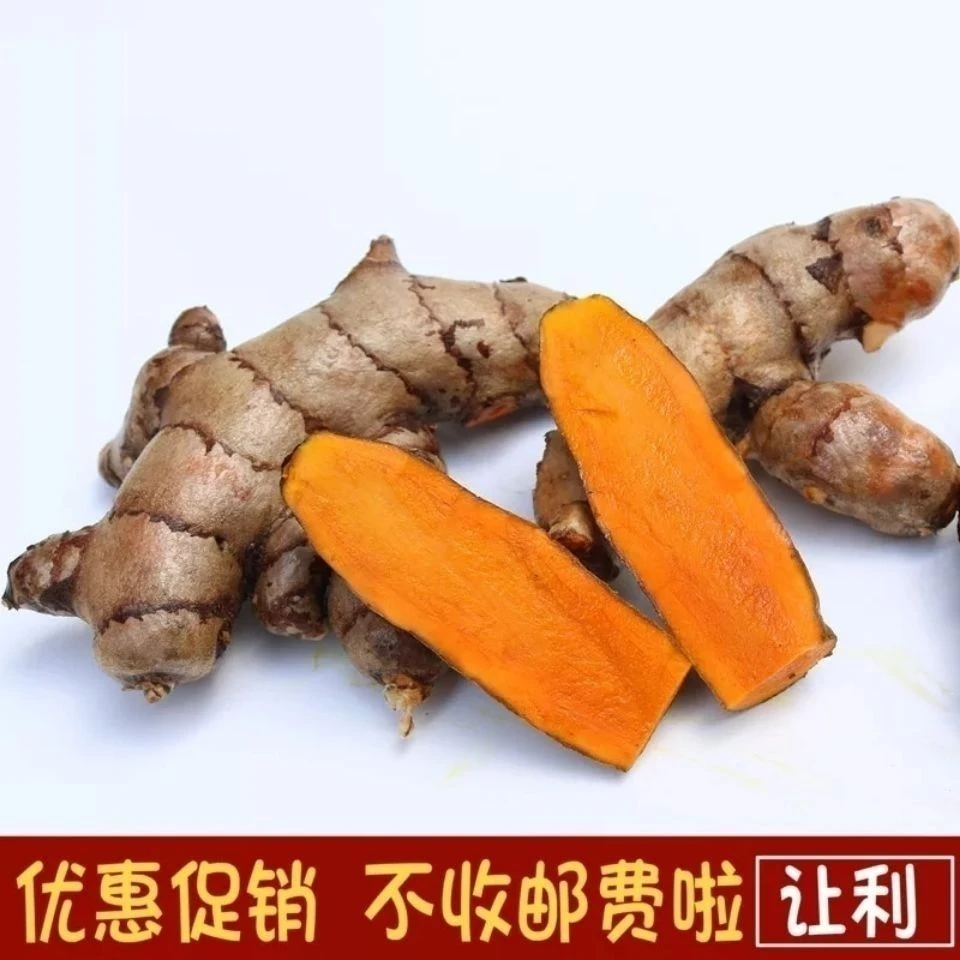大山新鲜姜黄正宗广西野生小黄姜土货染色米饭姜黄月子肉姜鸡汤