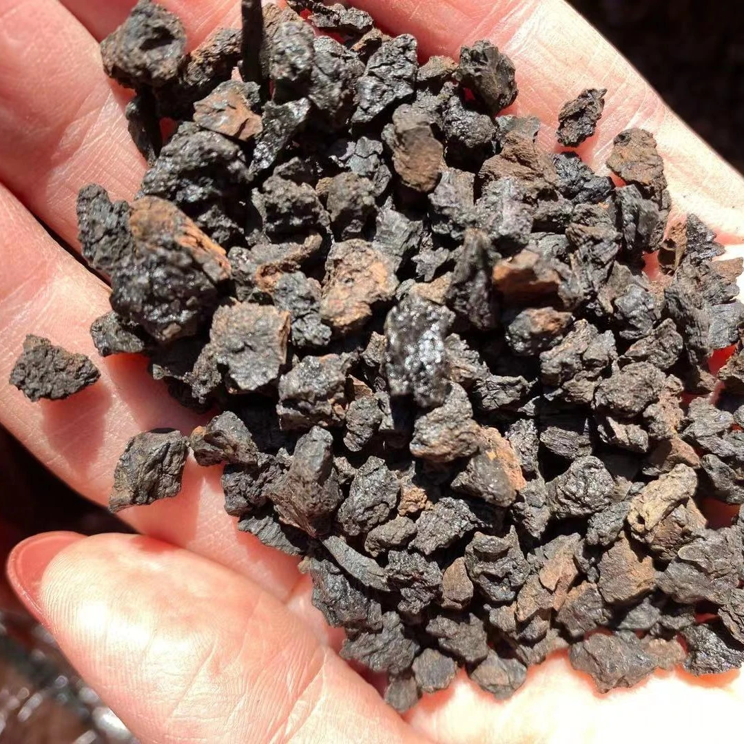 长白山桦树茸 黑晶净  重250克