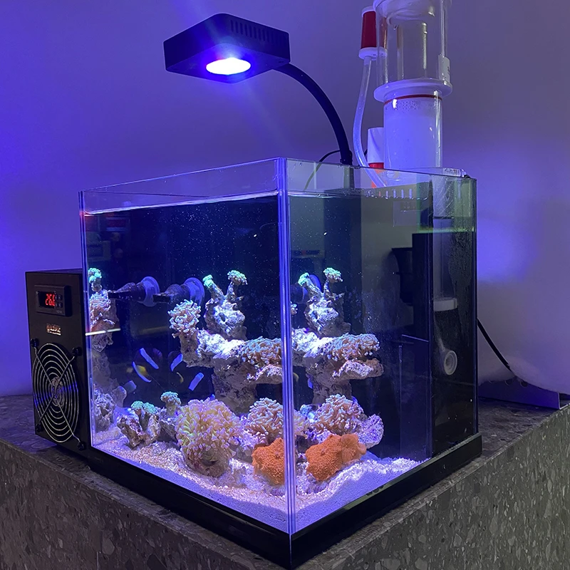 30背滤缸海王弗兰克同款海水鱼缸超白缸鱼缸海水背滤缸小型办公室