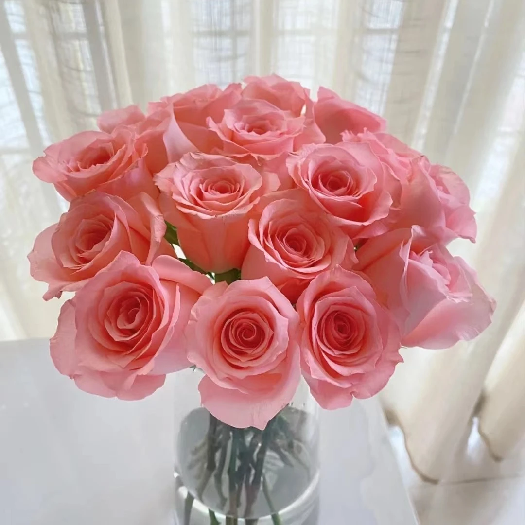 玫瑰 昆明斗南鲜花 基地直供 批发 实体花店进货 批发商采购 直播