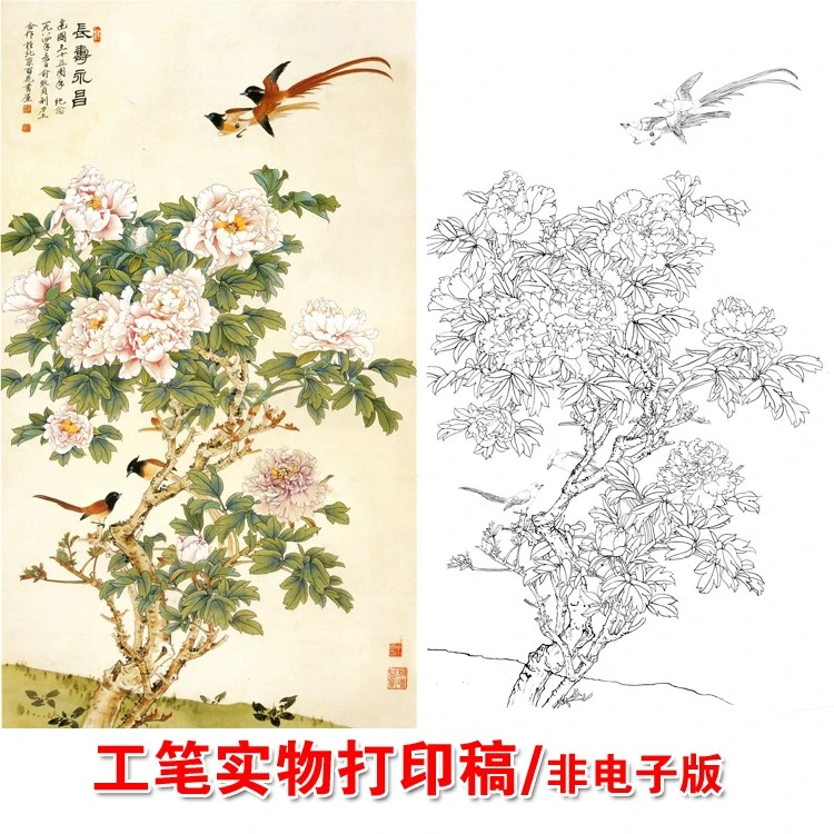 俞致贞工笔国画花鸟牡丹白描底稿四尺六尺临摹透稿实物打印稿713