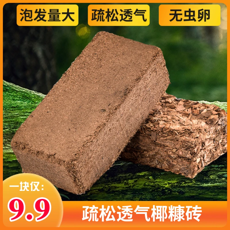 天然脱盐椰砖椰糠疏松透气无菌无虫卵