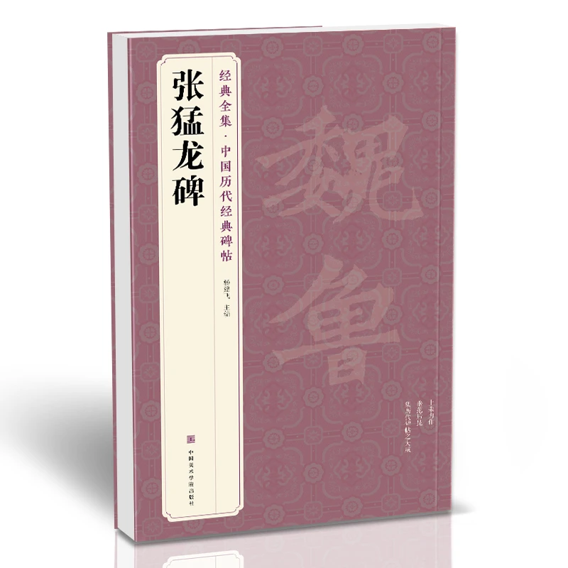经典全集《张猛龙碑》中国历代碑帖精粹译文简体注释北魏楷书