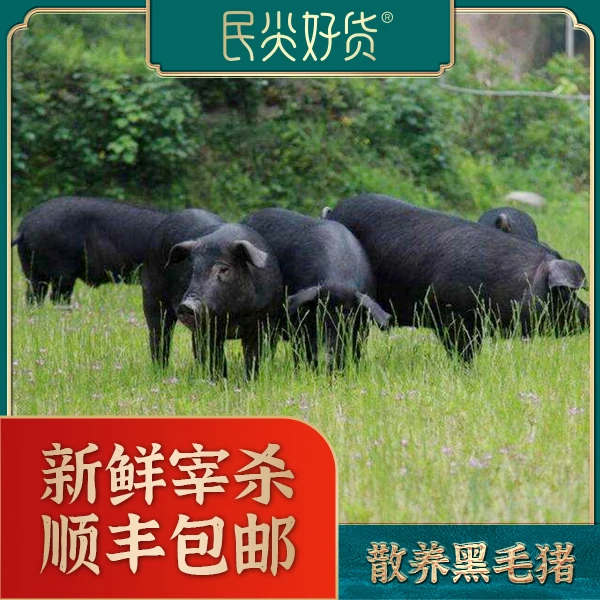 民尖好货 【单部位猪肉包年】12个月 贵州深山放养黑毛猪60斤新鲜