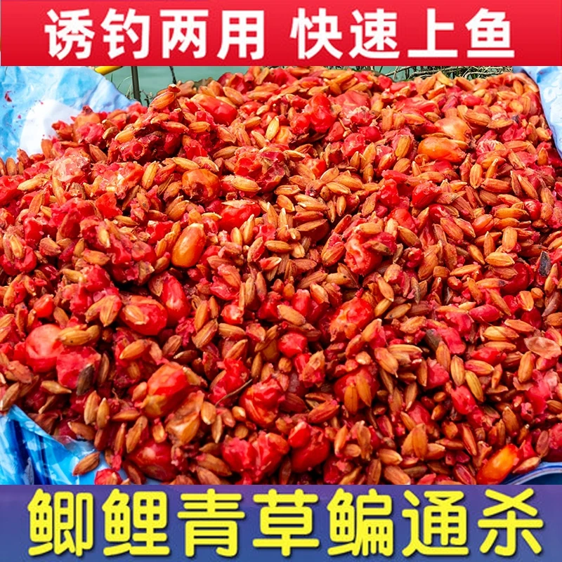 鲫鲤专用谷麦玉可钓鲫鱼鲤鱼草鱼