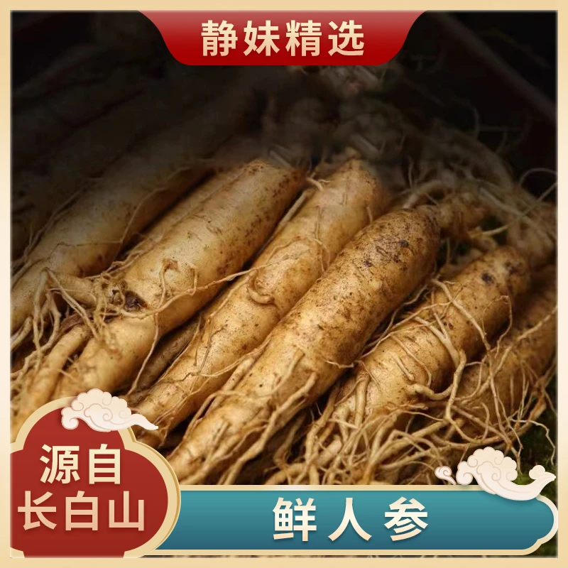 长白山【福利】小个头鲜人参30支 个头小年份足 喜欢差评勿拍
