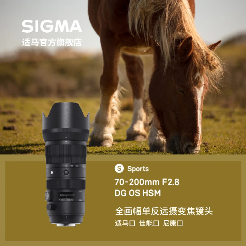 Sigma/适马70-200mm F2.8 S DG 单反 全幅 中长焦 变焦 防抖 镜头