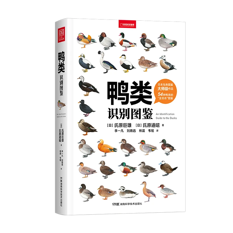 鸭类识别图鉴 中国国家地理图书 54种鸭类图鉴