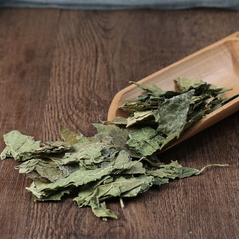 正宗桑叶新货霜桑叶精选叶菜桑叶干货农产品特产食材500克包邮