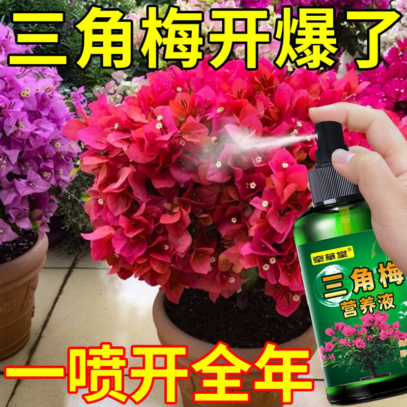 三角梅专用营养液防黄叶落叶枯萎催花促开花免稀释直喷液体肥料