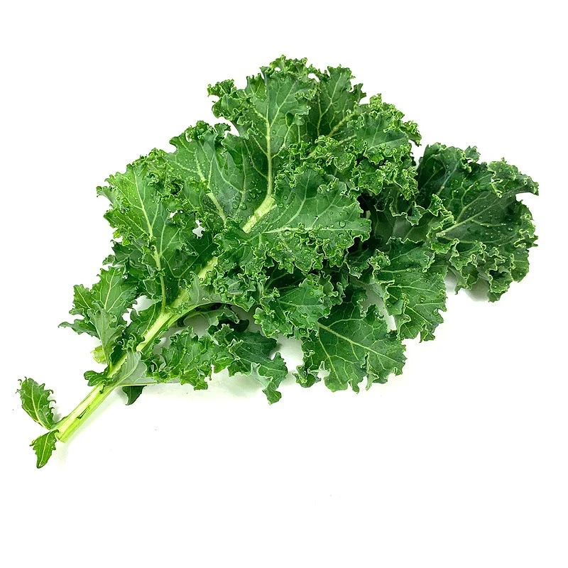 绿食者新鲜羽衣甘蓝 绿叶芥蓝叶kale健身榨汁西餐沙拉蔬菜清香