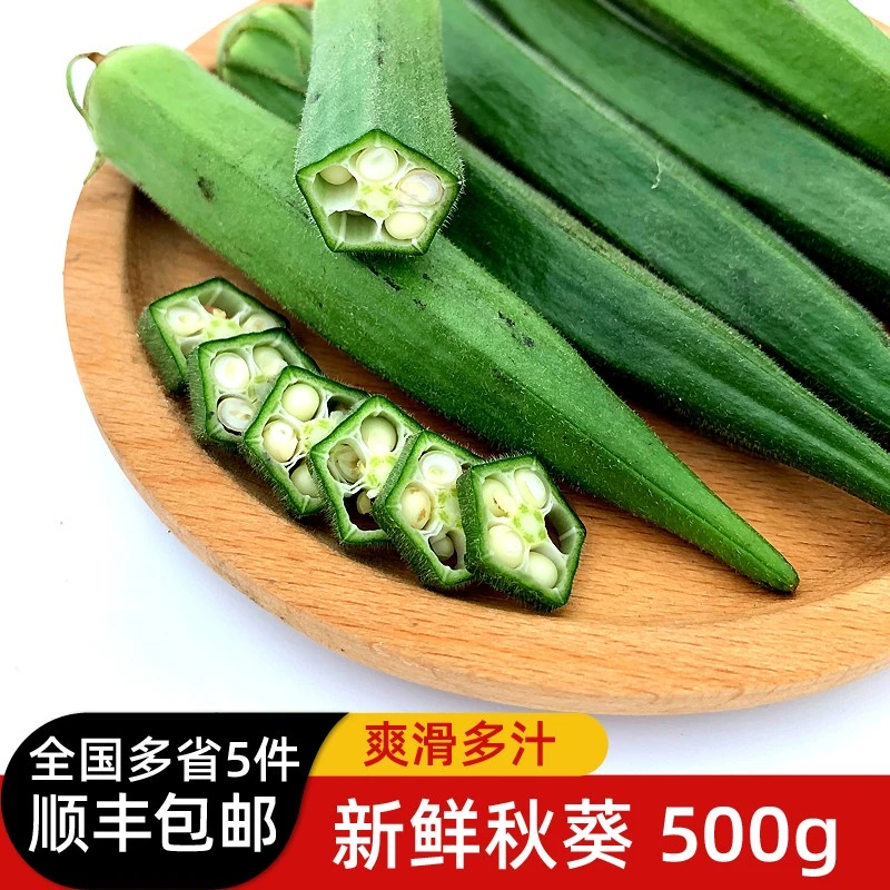 绿食者秋葵500g新鲜蔬菜沙拉丰收季水果黄秋葵六角羊角豆夏日美食