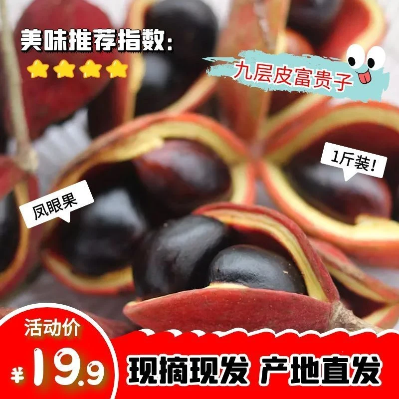 凤眼果九层皮萍婆果富贵子苹婆果2023上市新鲜纯果肉3斤康仔农人