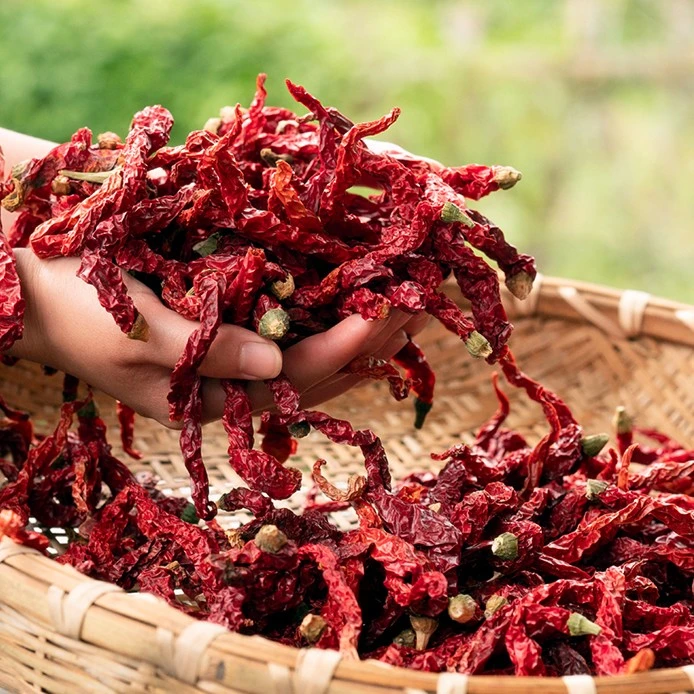 湖南特产二荆条皱皮干辣椒  250g/500g