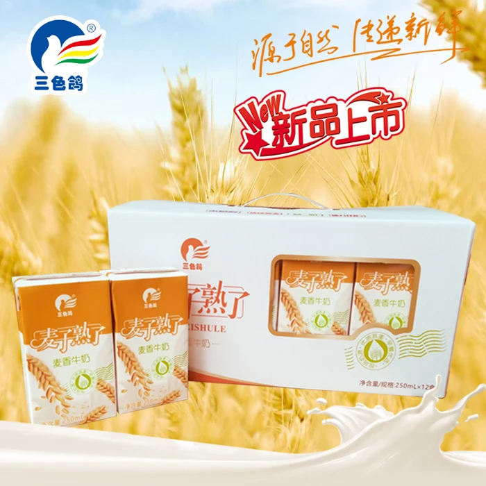 三色鸽健康至上禾您一起三色鸽麦子熟了麦香牛奶12盒* 250ml