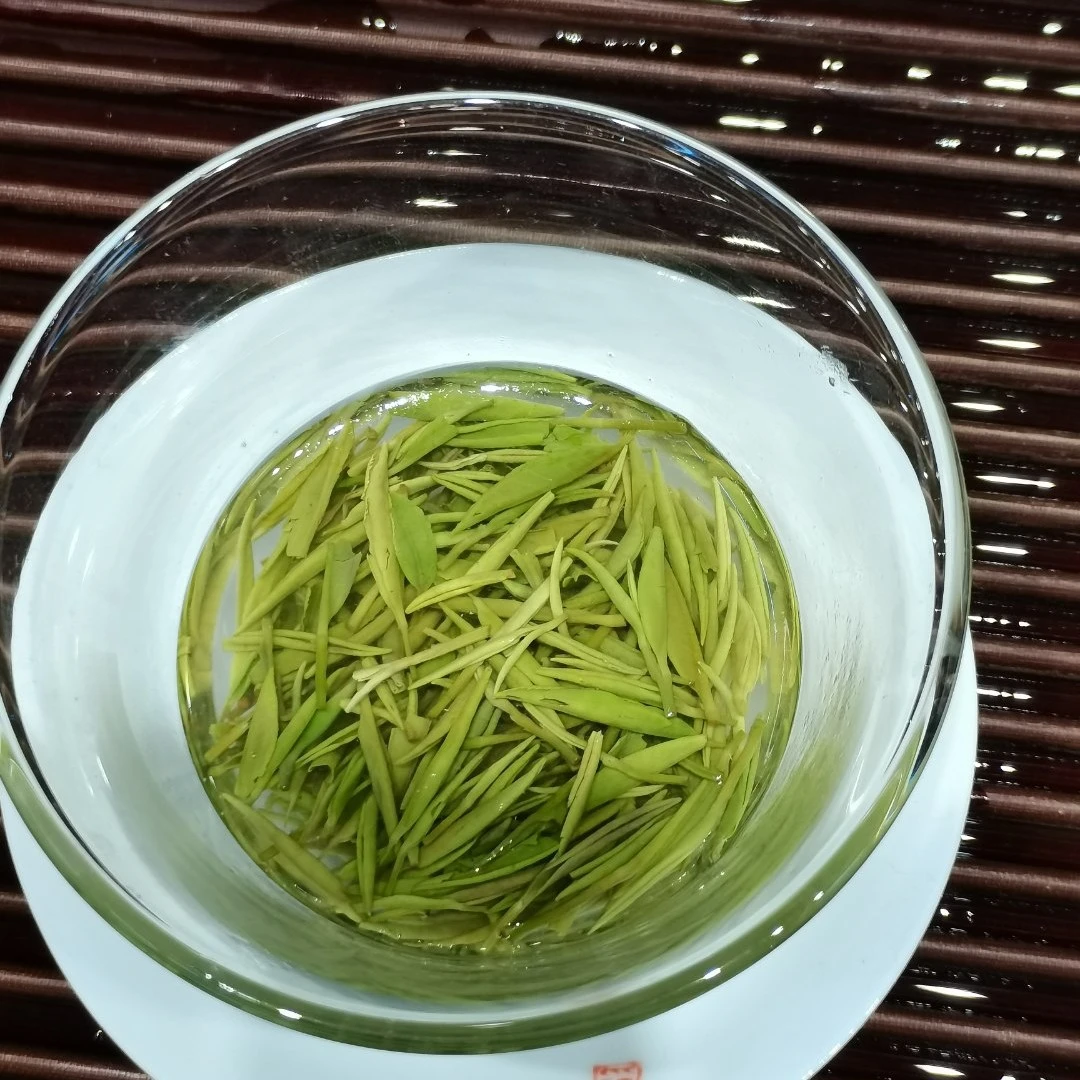 500信阳毛尖（明前中芽）
