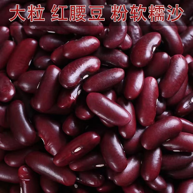 【25年新豆】大红豆红腰豆红芸豆红豆豆沙馅豆类五谷杂粮新货颗粒