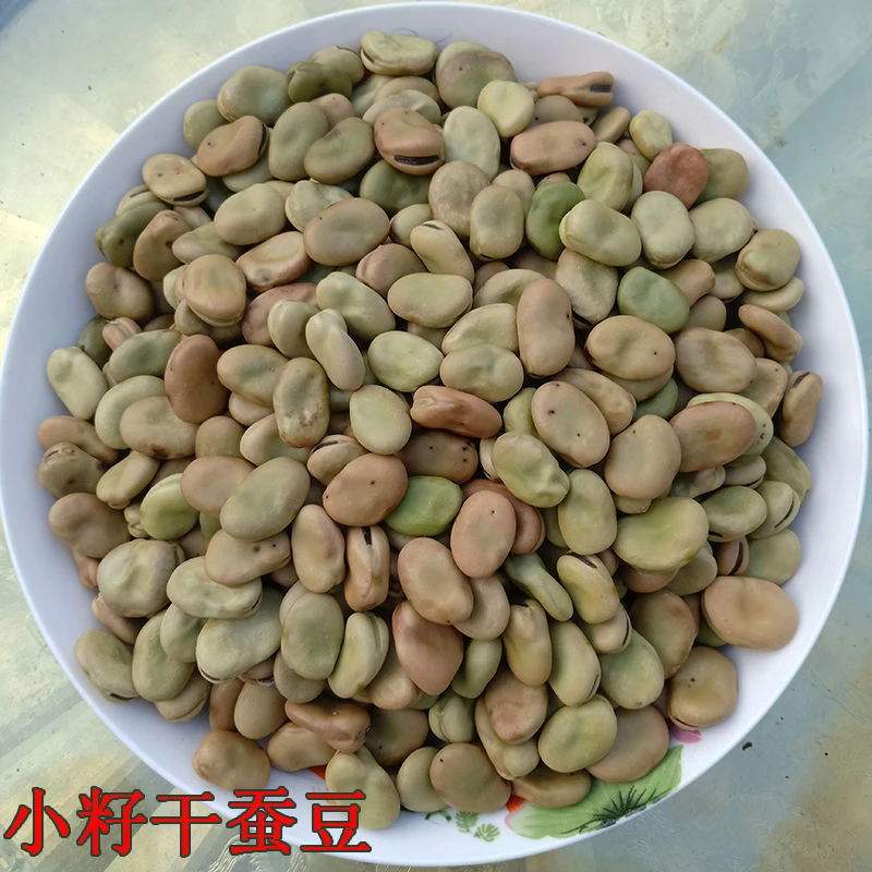 小籽土蚕豆农家小豌豆干蚕豆生枯豌豆2024年新货现晒湖北农村