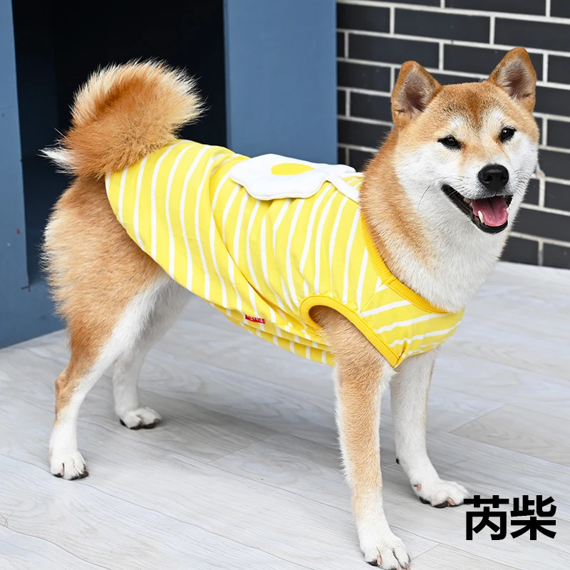 可爱荷包蛋黄色条纹宠物猫咪狗狗泰迪法斗柯基柴犬衣服背心T恤棉