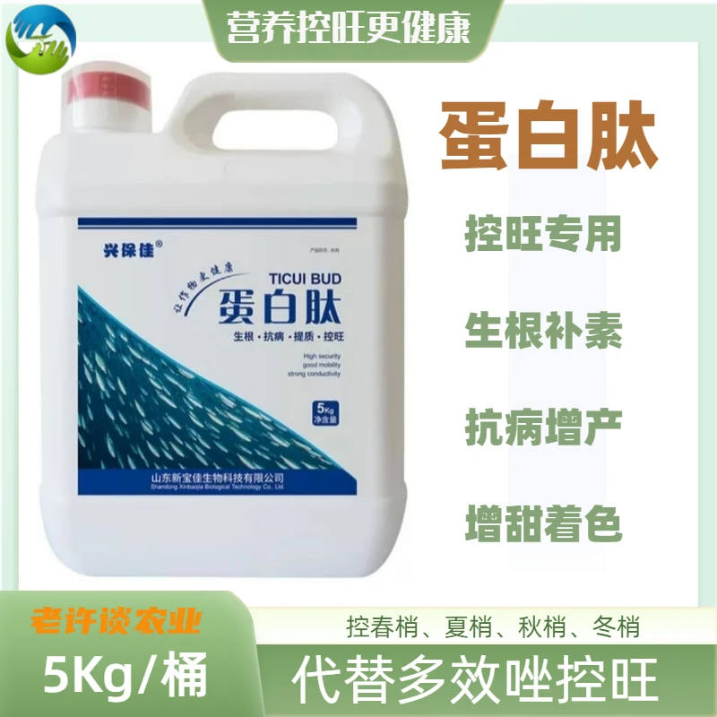 多效唑控旺替代产品-蛋白肽:生根、抗病、补素、控旺; 5公斤/桶