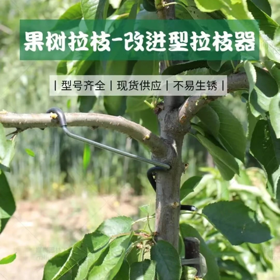 拉枝器改进型26厘米长果树开角器苹果樱桃李子梨树开角定型器
