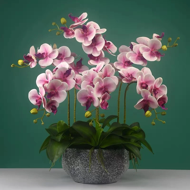 蝴蝶兰仿真花高档兰花假花绿植盆栽客厅餐桌玄关前台装饰花艺摆件