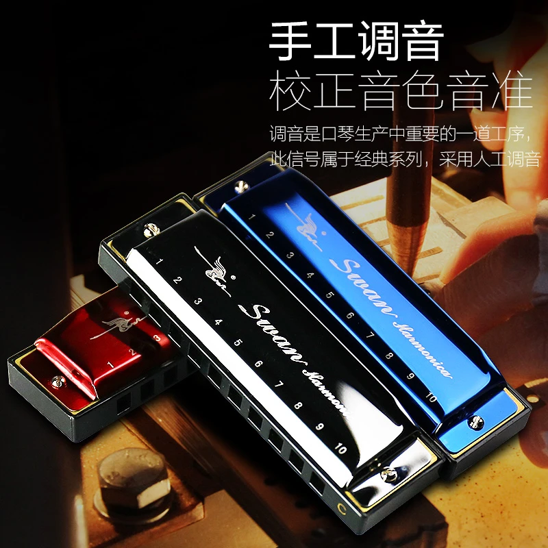 天鹅10孔布鲁斯口琴男 C调儿童初学者学生蓝调十孔入门小囗琴乐器