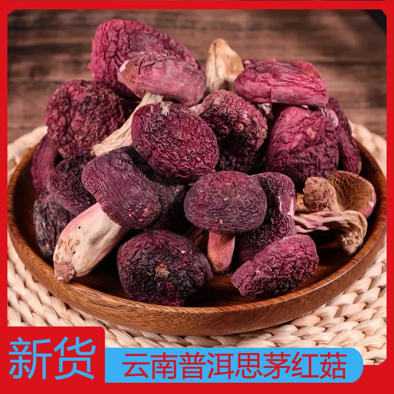 云南普洱思茅红菇坐月子食用菌月子菇女人菇营养晒干100克-500克