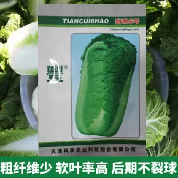 甜脆6号包心大白菜种子秋播白菜种子秋季 高产抗病耐储 过冬菜
