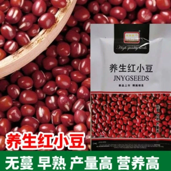 养生红小豆种子红豆种子五谷杂粮种子养生红小豆种子春播红豆种子
