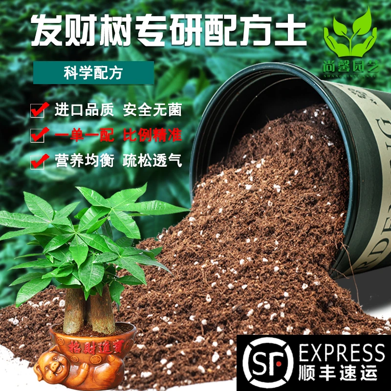 发财树专用土花卉绿植优质种植土疏松肥沃通用型土砂质土壤营养土