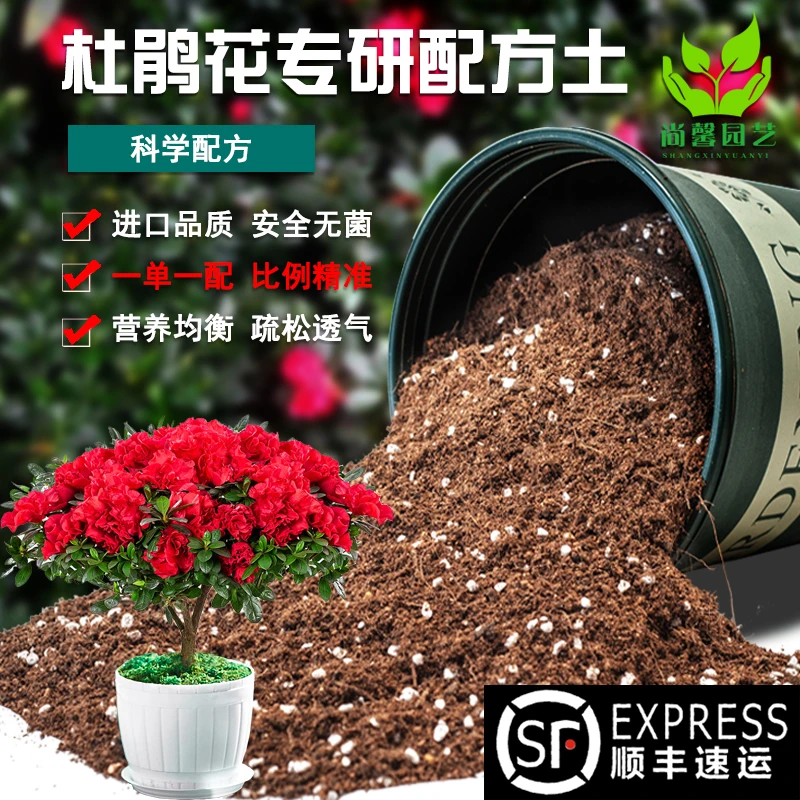 杜鹃花专用土花卉绿植盆栽种植土均衡疏松肥沃通用型花土壤配方