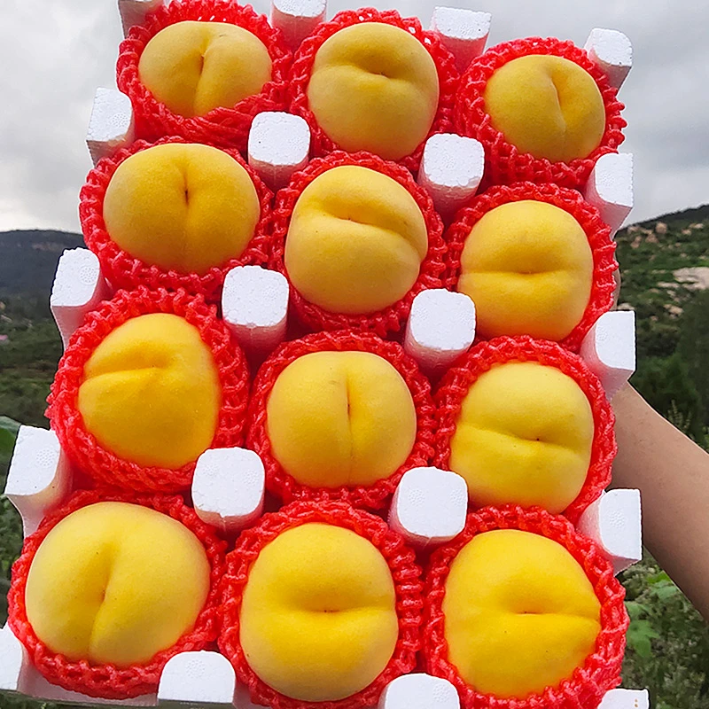 正宗山东蒙阴黄桃黄金蜜桃子新鲜水果中秋礼盒金皇后脆甜产地直销