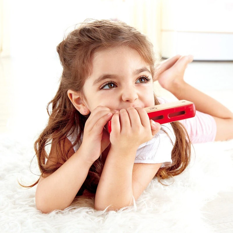 Hape  E0616 儿童布鲁斯口琴 儿童玩具