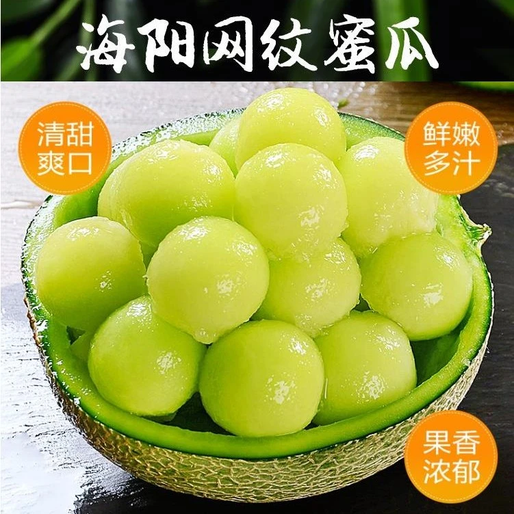 【顺丰快递】山东海阳网纹瓜新鲜现摘哈密瓜冰淇淋甜瓜香甜脆爽蜜瓜