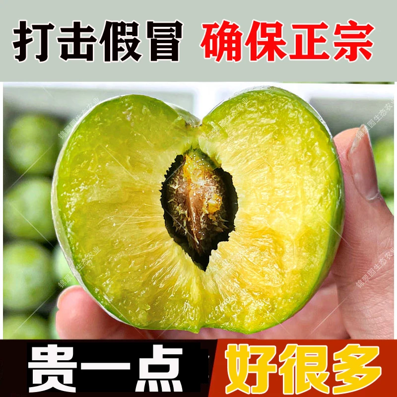 （京东顺丰）阿坝州红脆李汶川脆李四川李子青脆李脱骨李5斤3斤1斤