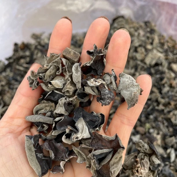 长白山  木耳一斤   500克