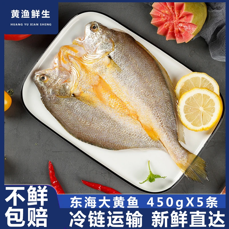 福建霞浦大黄鱼黄鱼鲞450g/条5条装黄瓜鱼独立包装真空包装新鲜