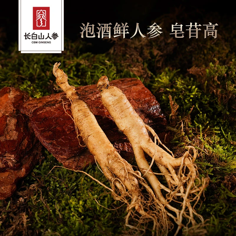 CBM GINSENG/长白山人参保鲜参【30支】酒浸鲜人参泡酒煲汤滋补